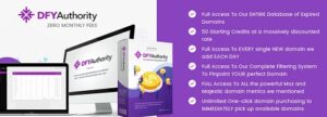 DFY Authority