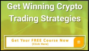 Verified Crypto Crew University