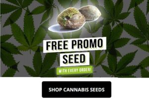 Amsterdam Seed Center
