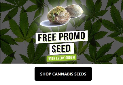 Amsterdam Seed Center coupons logo