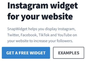 SnapWidget